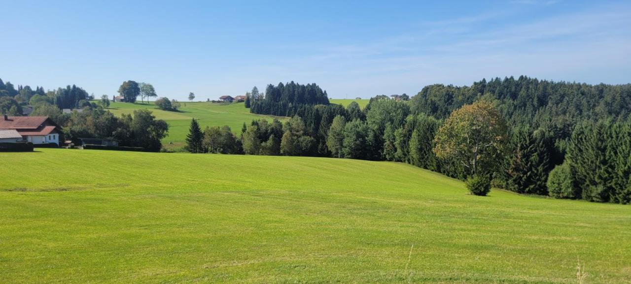 Appartamento Anna Altreichenau Neureichenau Esterno foto