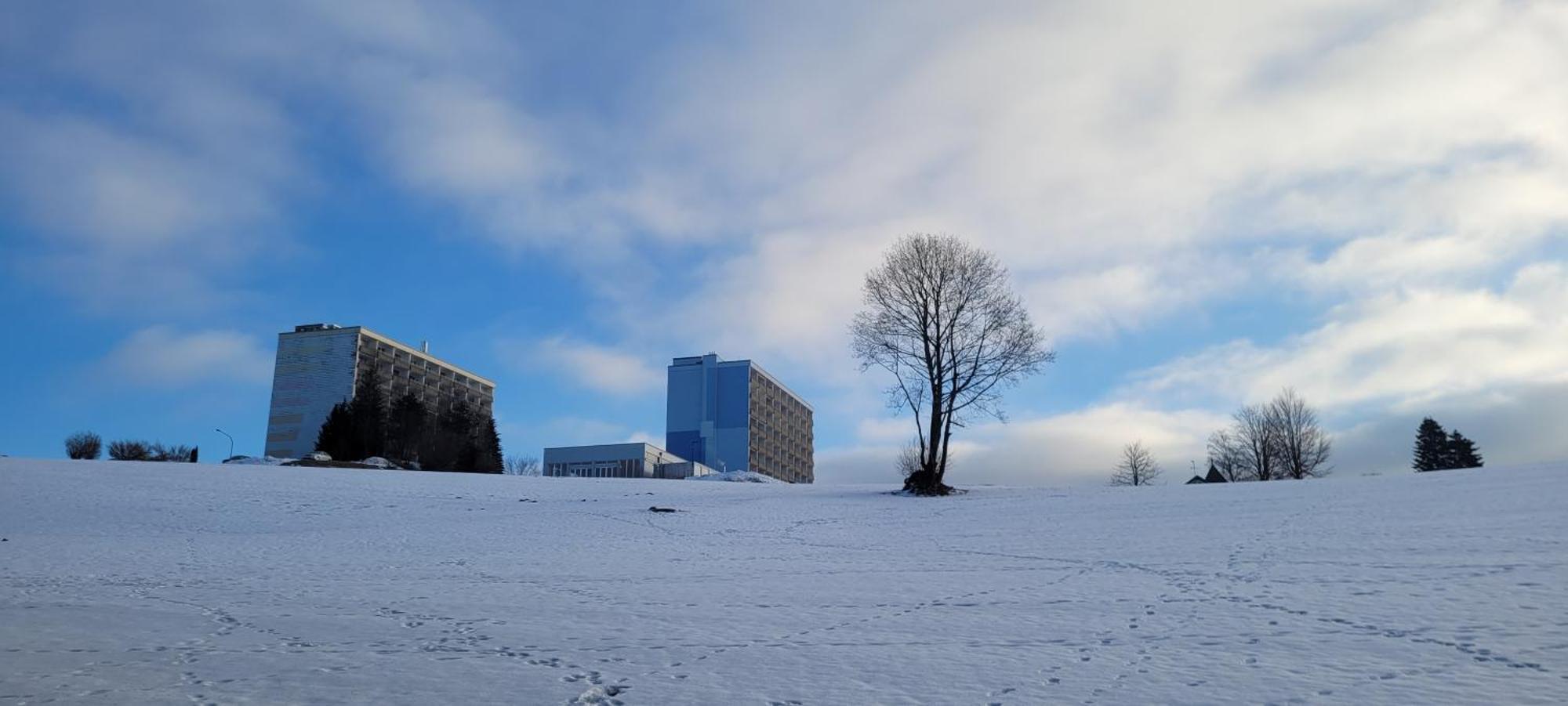 Appartamento Anna Altreichenau Neureichenau Esterno foto